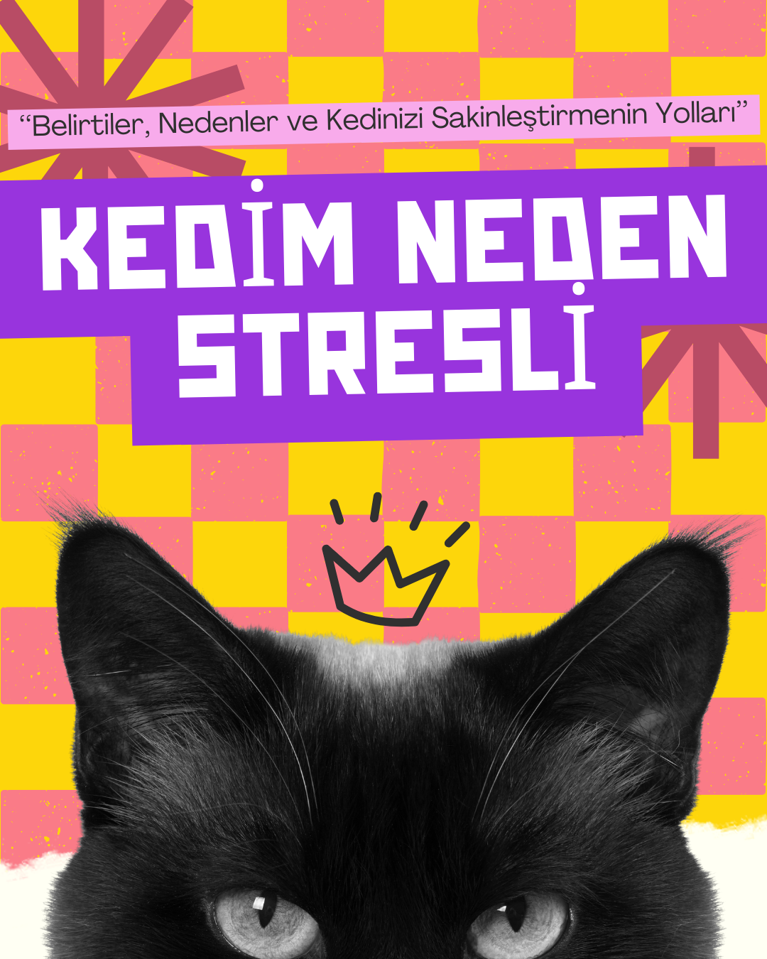 “Kedim Neden Stresli?