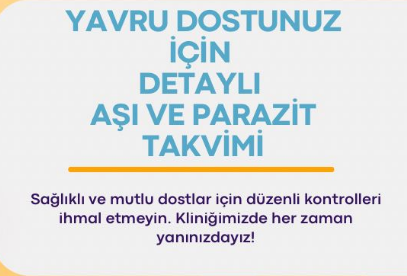 Yavru Dostunuz İçin Detaylı Aşı ve Parazit Takvimi